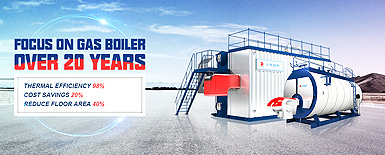 Gas/Natural Gas Fired Boiler
